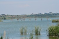 Estany d’Ivars i Vila-sana